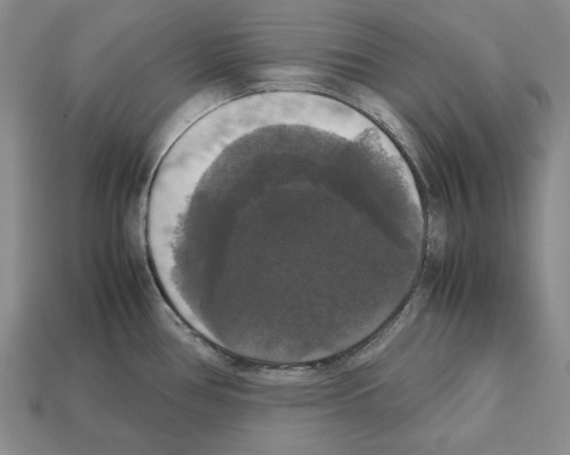 X0000112531386200909281028