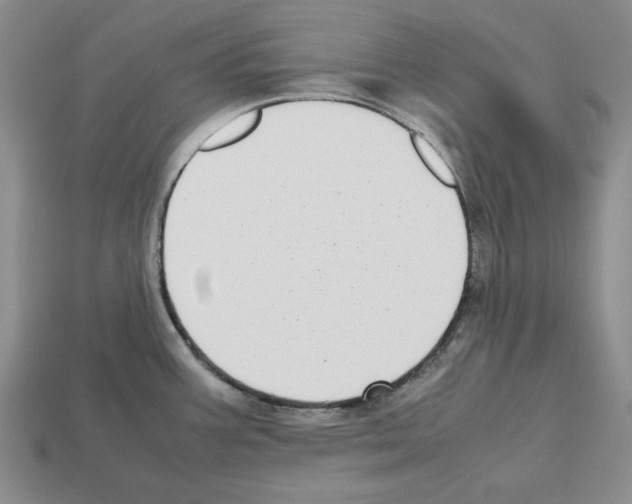 X0000112531387200909281028