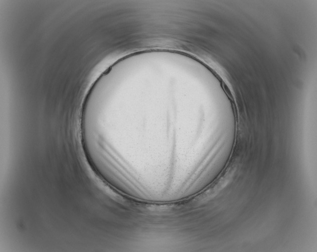 X0000112531389200909281028