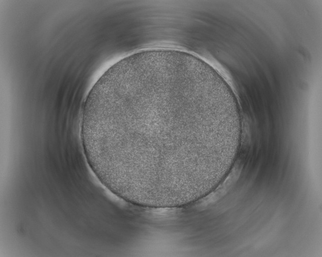 X0000112531390200909281028