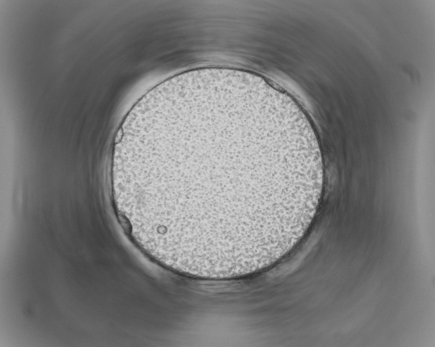 X0000112531391200909281028