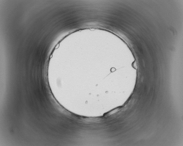 X0000112531392200909281028