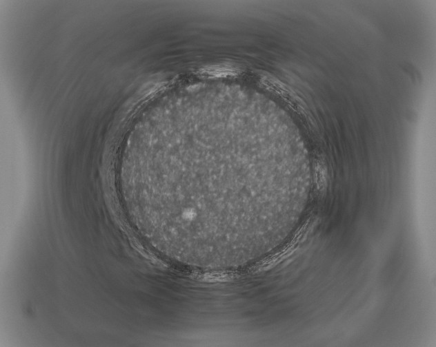 X0000112531393200909281028