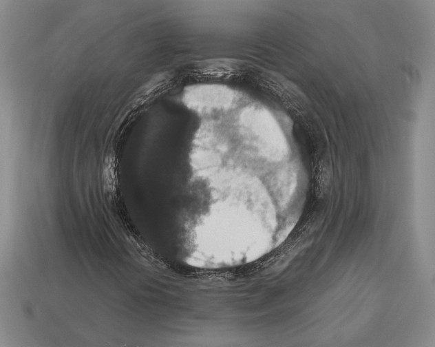 X0000112531394200909281028