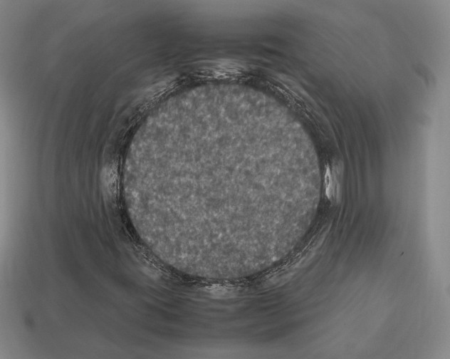 X0000112531395200909281028