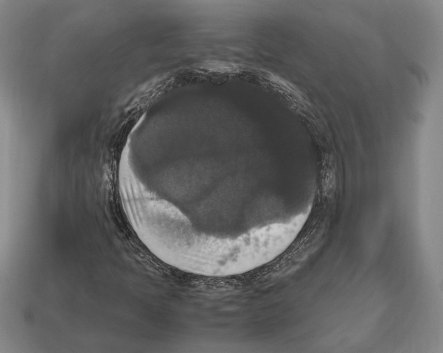 X0000112531397200909281028