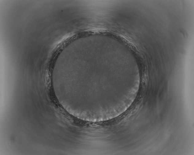 X0000112531398200909281028