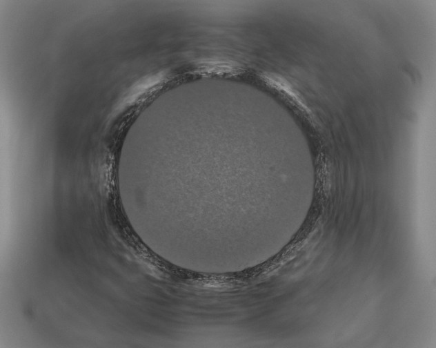 X0000112531399200909281028