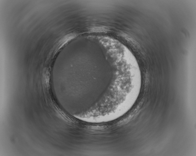 X0000112531401200909281028