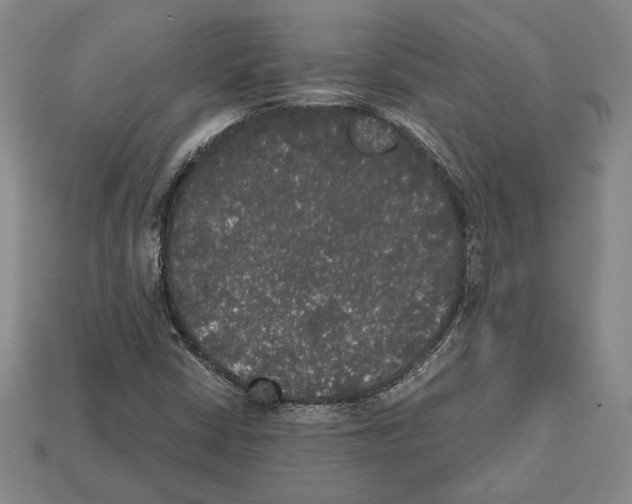 X0000112531402200909281028