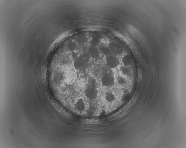 X0000112531403200909281028