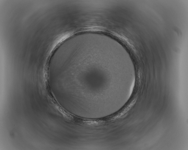 X0000112531405200909281028