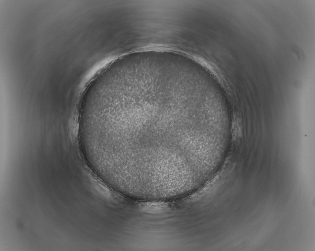 X0000112531406200909281028