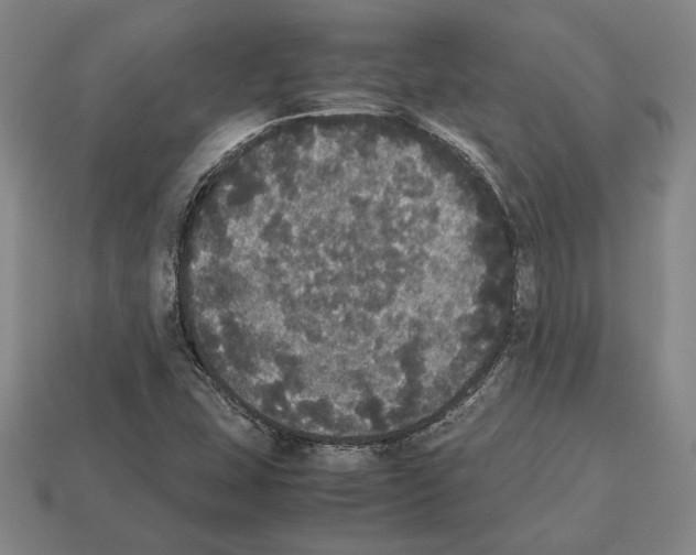 X0000112531407200909281028