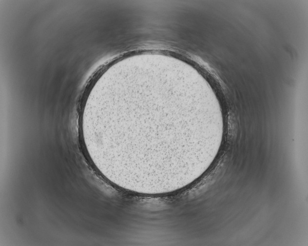 X0000112531408200909281028