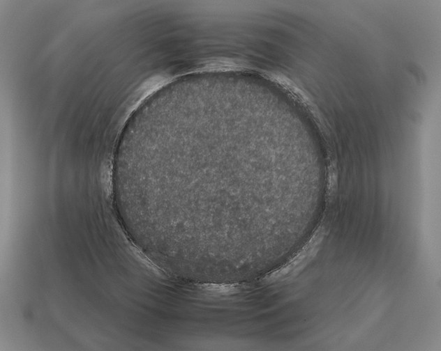 X0000112531409200909281028