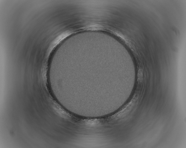 X0000112531410200909281028