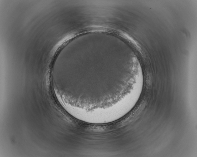 X0000112531411200909281028