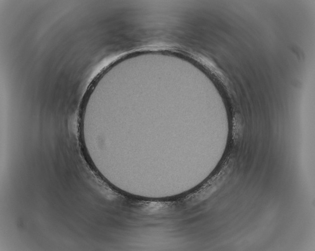 X0000112531412200909281028