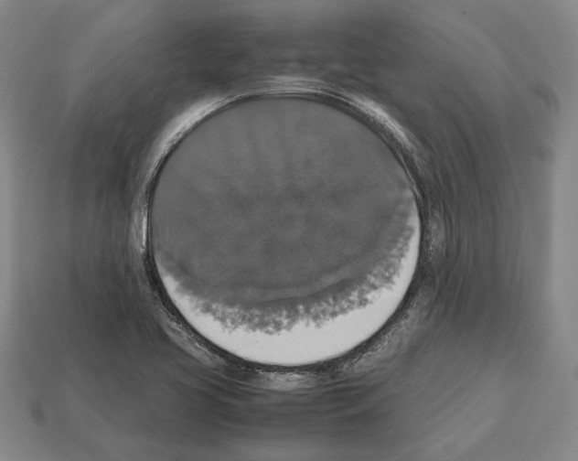 X0000112531413200909281028