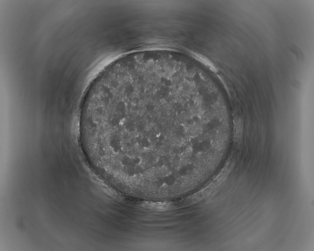 X0000112531415200909281028