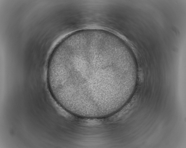 X0000112531416200909281028