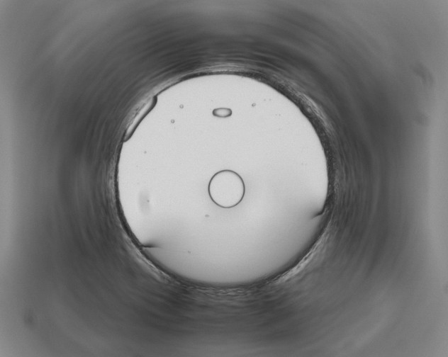 X0000112531417200909281028