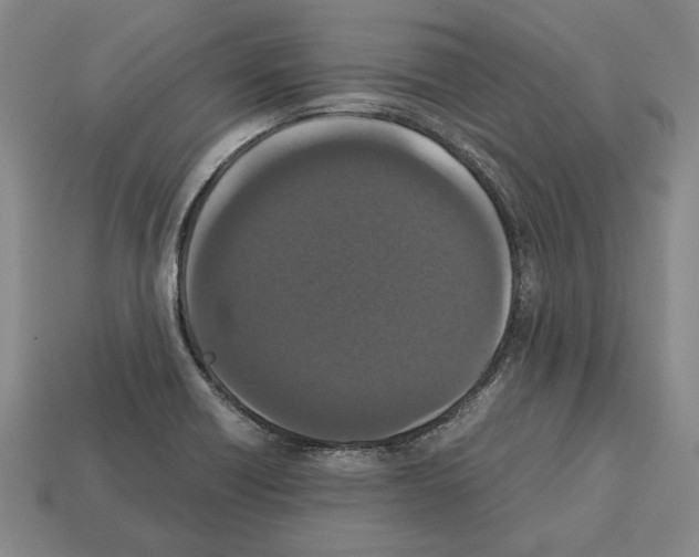 X0000112531418200909281028