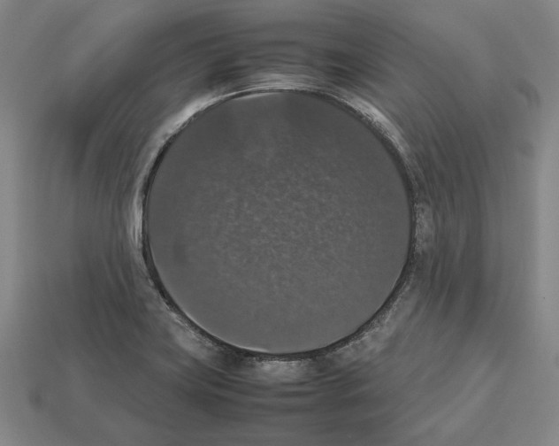 X0000112531419200909281028