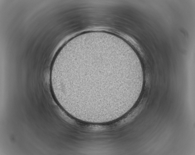 X0000112531420200909281028