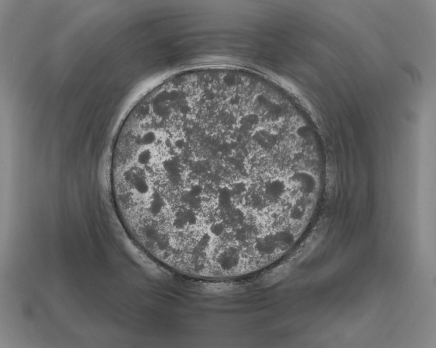 X0000112531421200909281028