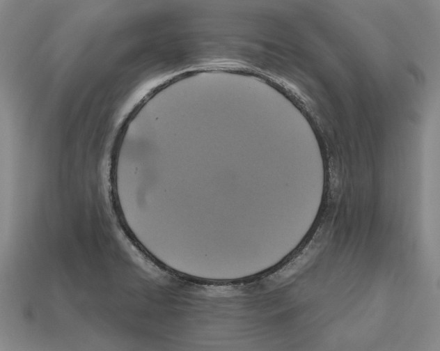 X0000112531422200909281028