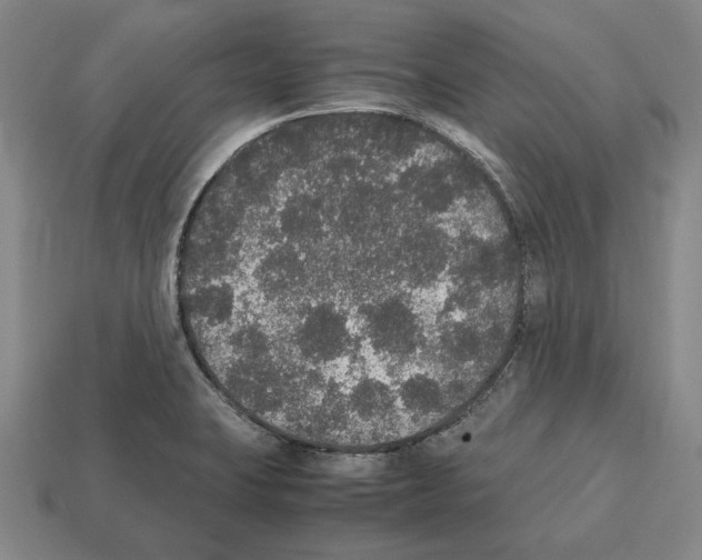 X0000112531423200909281028