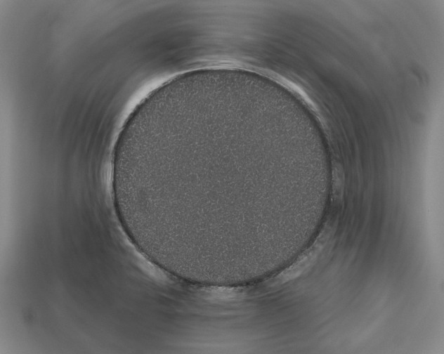 X0000112531424200909281028