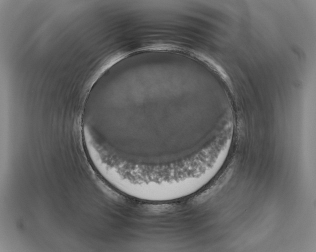 X0000112531425200909281028