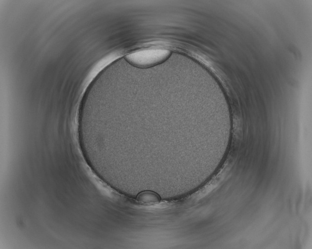 X0000112531426200909281028