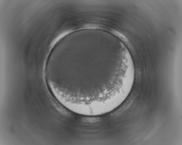 X0000112531427200909281028