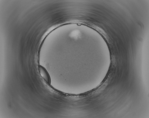 X0000112531428200909281028