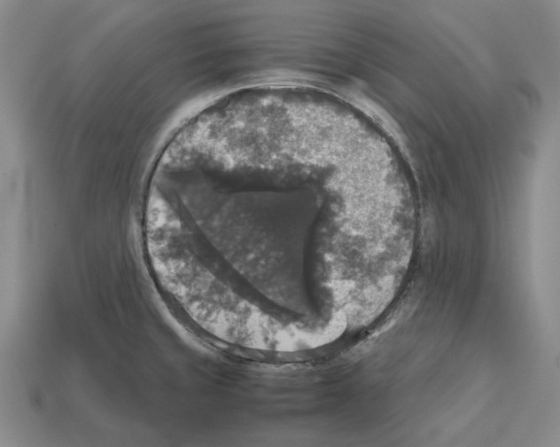 X0000112531429200909281028