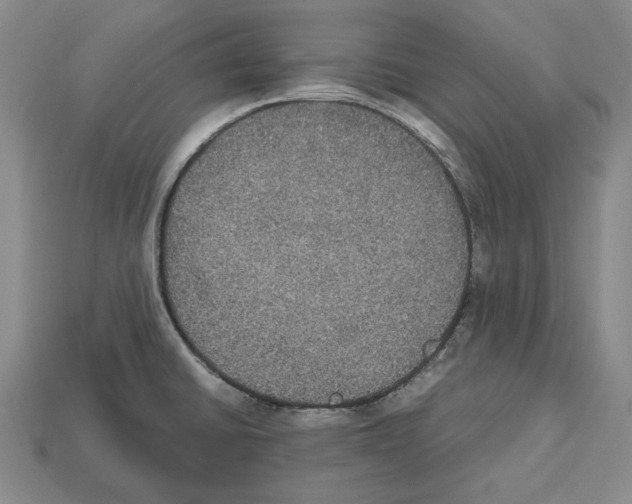 X0000112531430200909281028