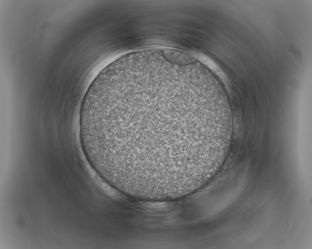 X0000112531431200909281028