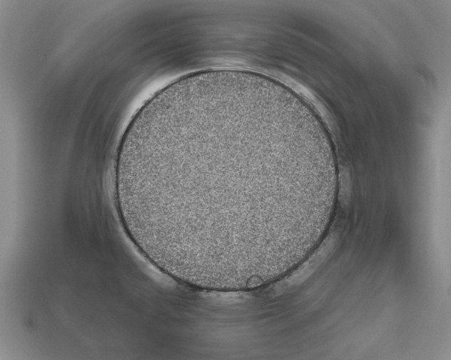 X0000112531432200909281028