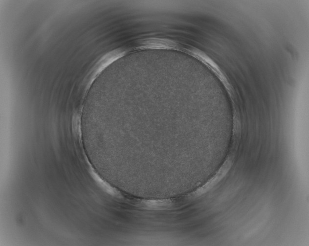 X0000112531433200909281028