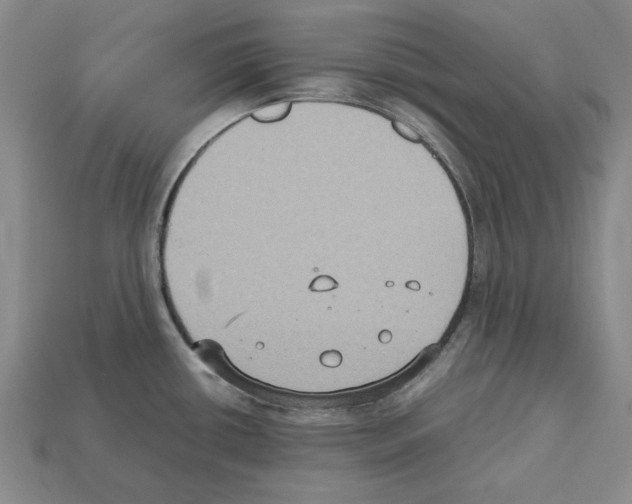 X0000112531434200909281028