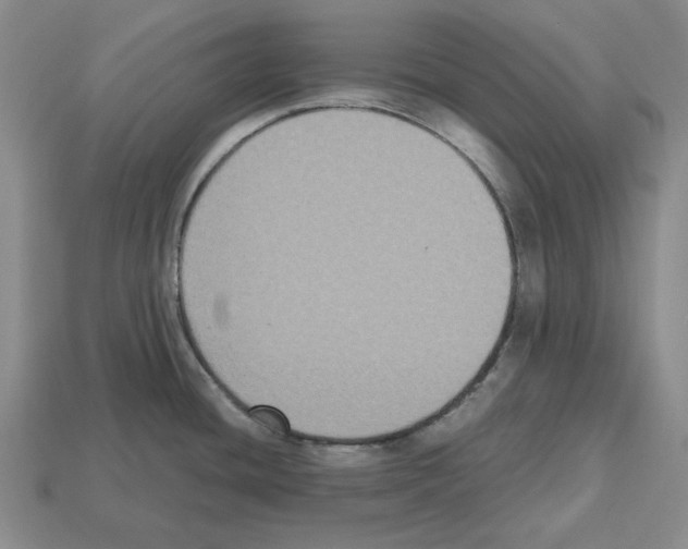 X0000112531436200909281028