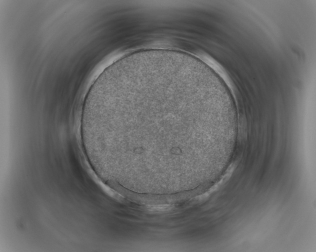 X0000112531437200909281028