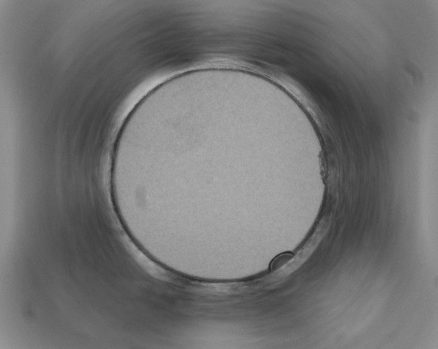 X0000112531438200909281028