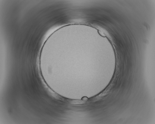 X0000112531440200909281028