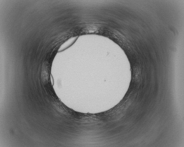 X0000112531442200909281028