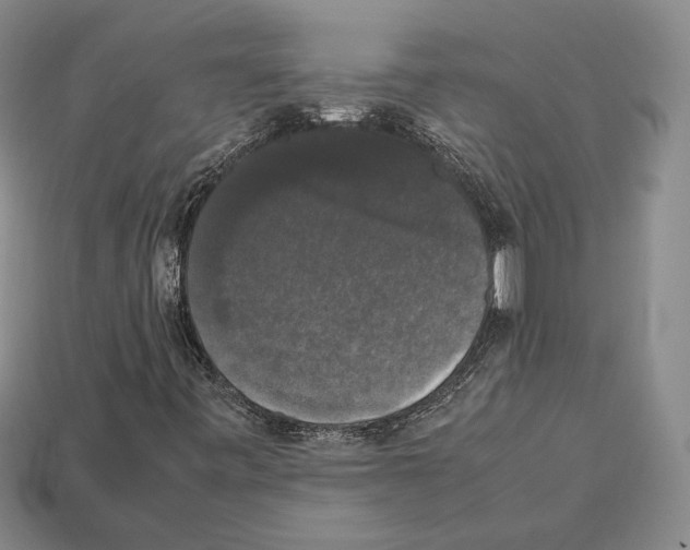 X0000112531443200909281028